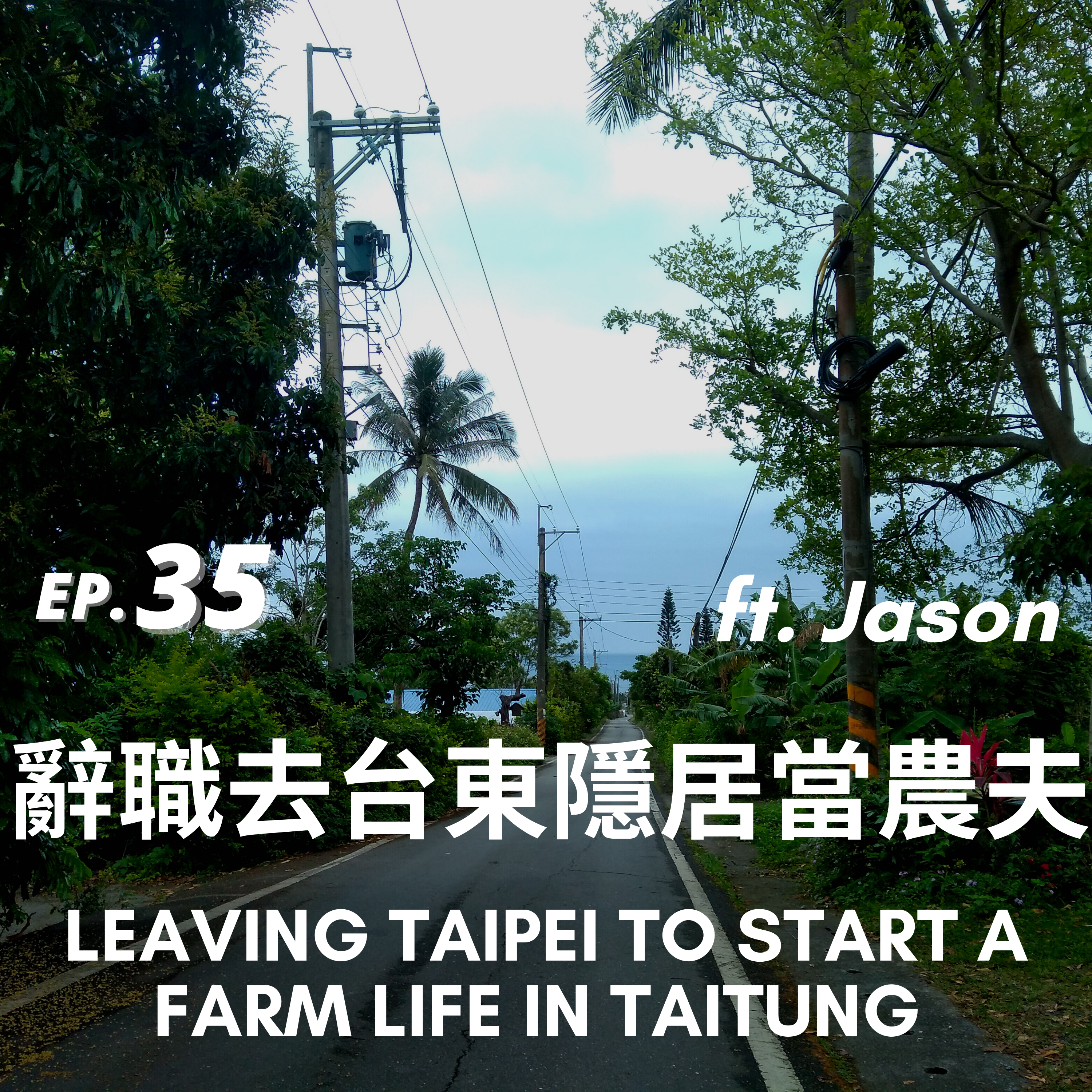 35. 辭職去台東隱居當農夫 Leaving Taipei to Start A Farm Life in Taitung ft. Jason